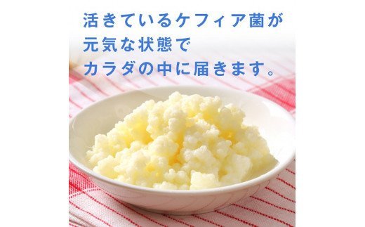 U-2　[ファイン]活性ケフィア ３個セット